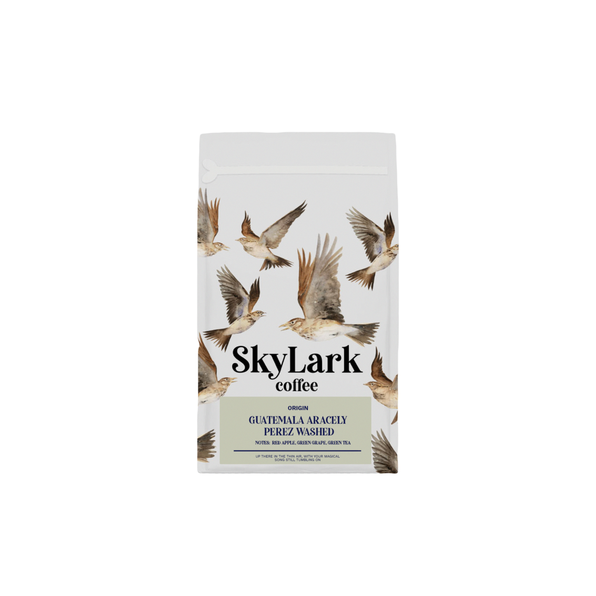 Aracely Perez - Skylark Coffee - Guatemala