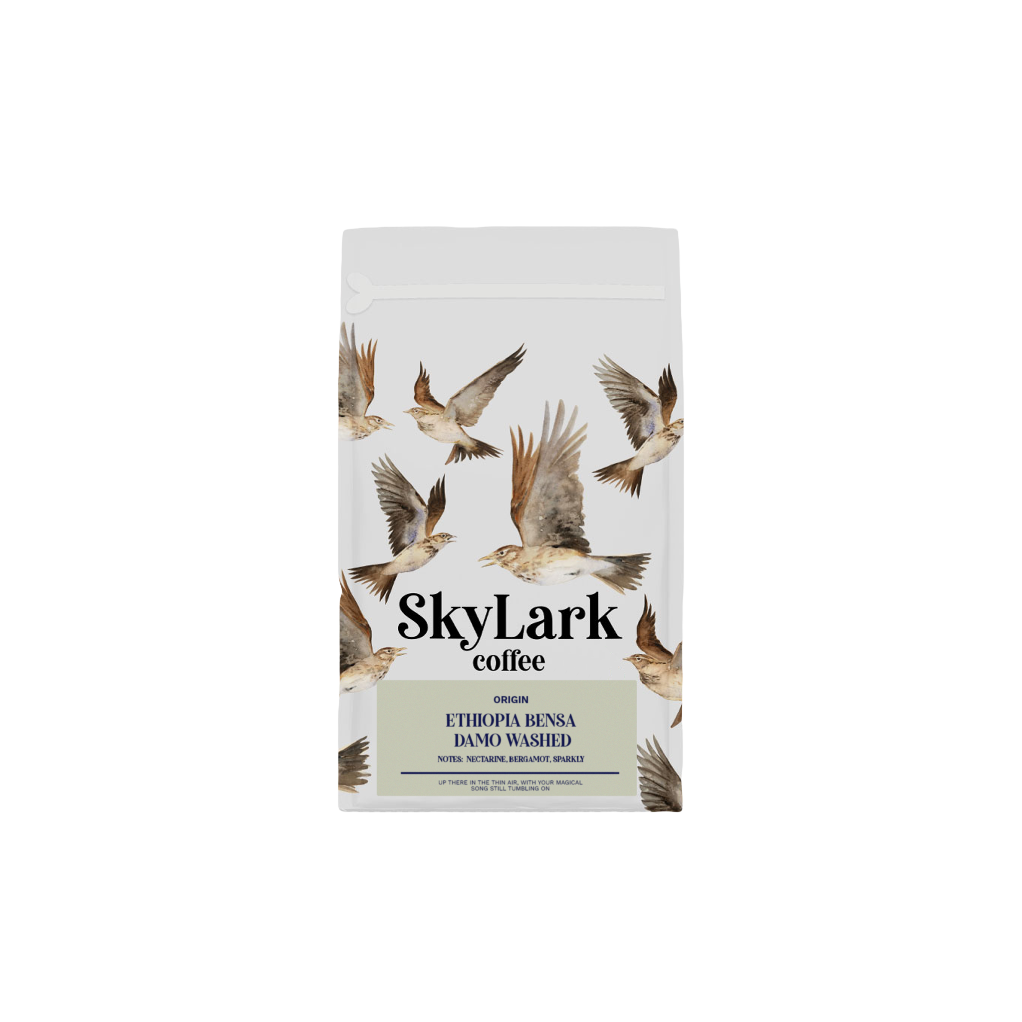 Bensa Damo - Skylark Coffee - Ethiopa