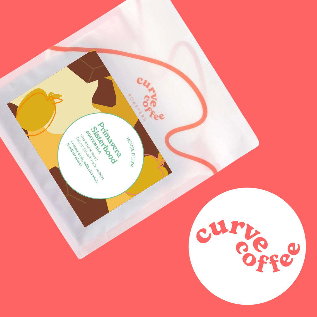 Primavera Sisterhood - Curve Coffee - Guatemala