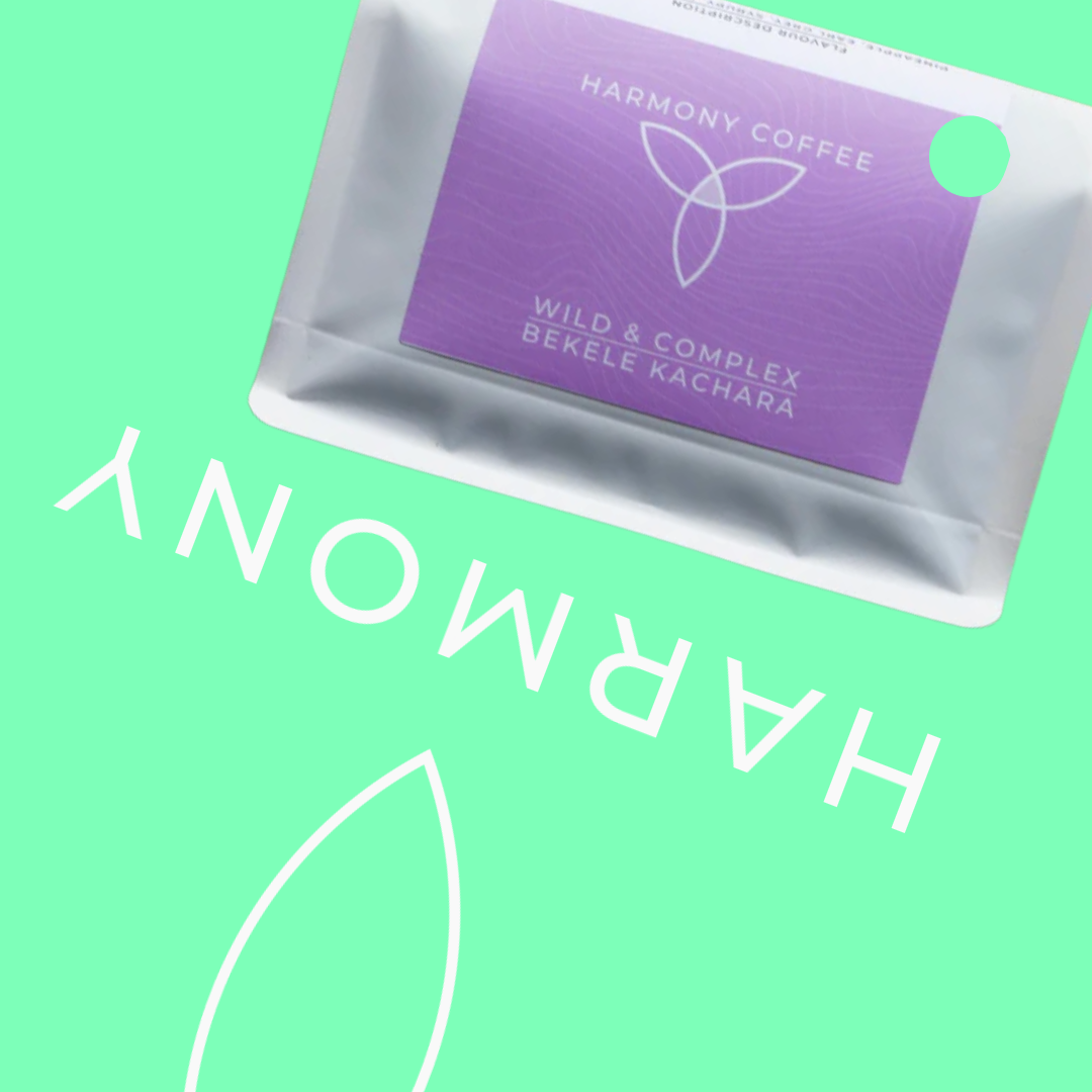 Bekele Kachara - Harmony Coffee Roasters - Ethiopia