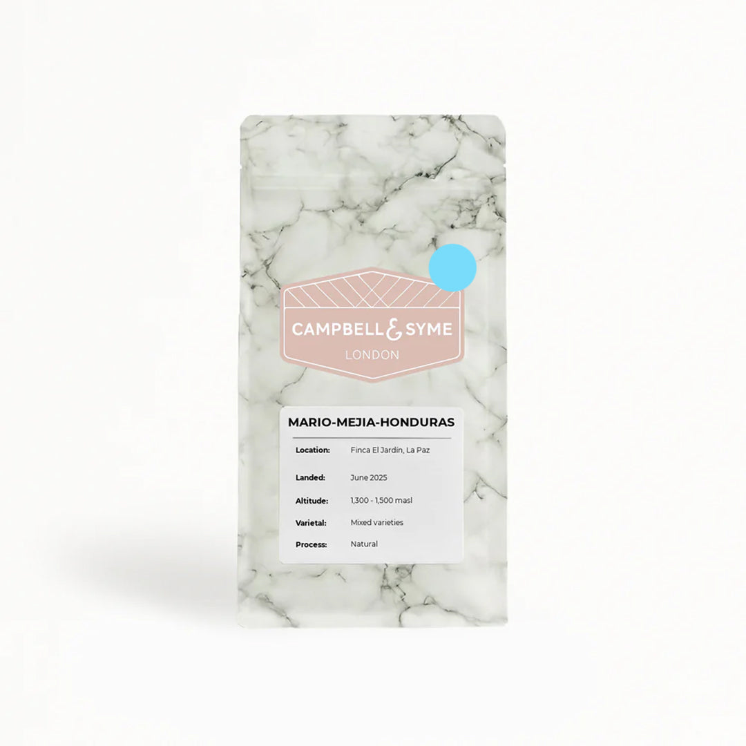 Mario Mejía - Campbell and Syme - Honduras