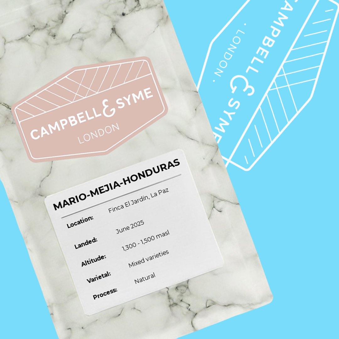 Mario Mejía - Campbell and Syme - Honduras