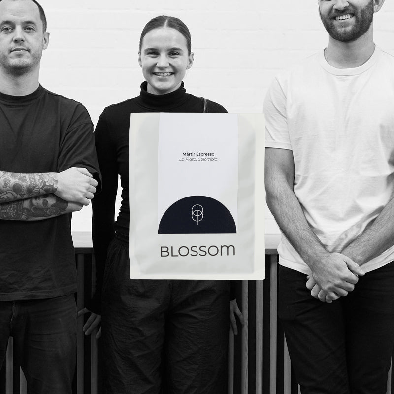 Mártir - Blossom Coffee Roasters - Colombia