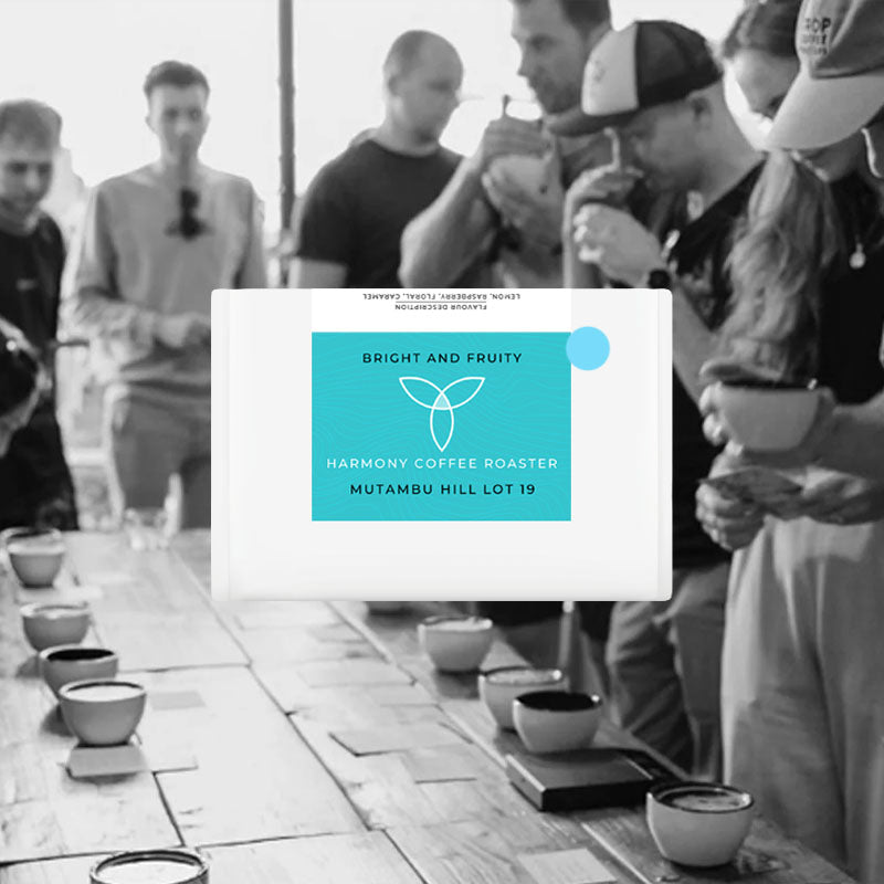 Mutambu Hill Lot 19 - Harmony Coffee Roasters - Burundi