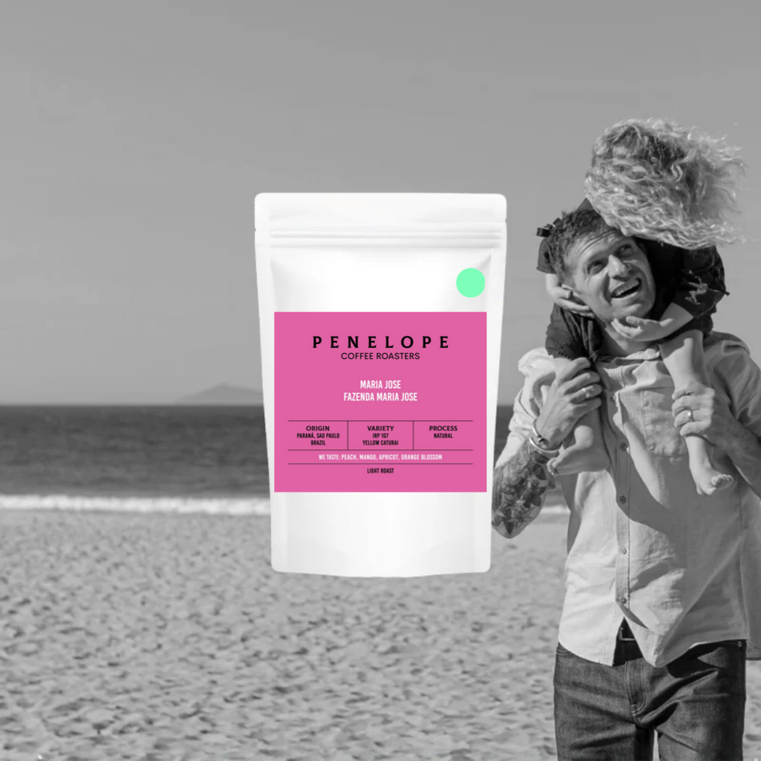 Maria Jose - Penelope Coffee - Brazil