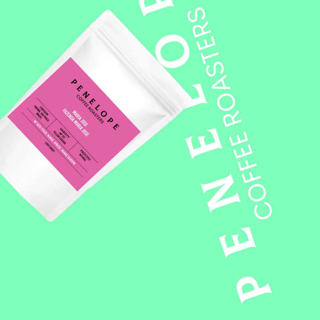 Maria Jose - Penelope Coffee - Brazil