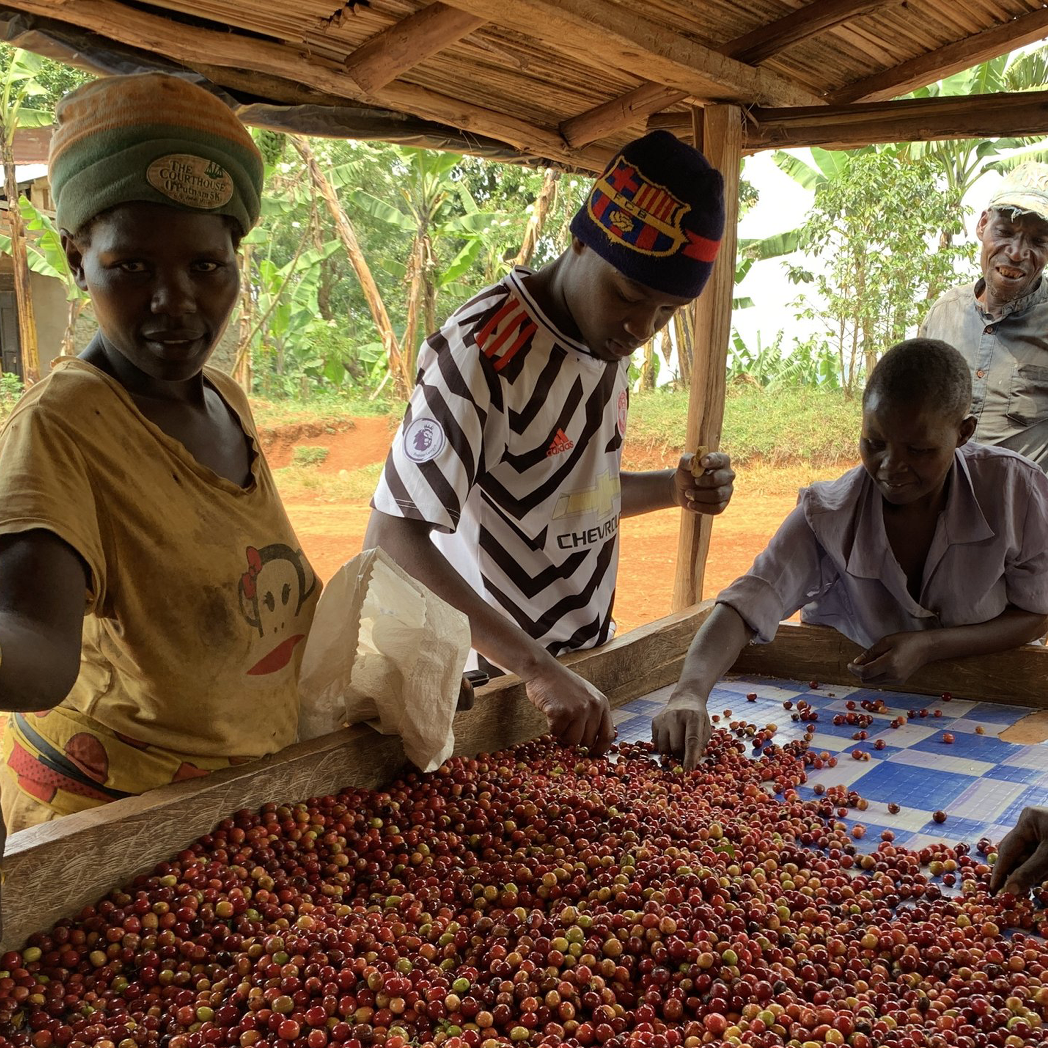 Zebigi - Penelope Coffee - Uganda