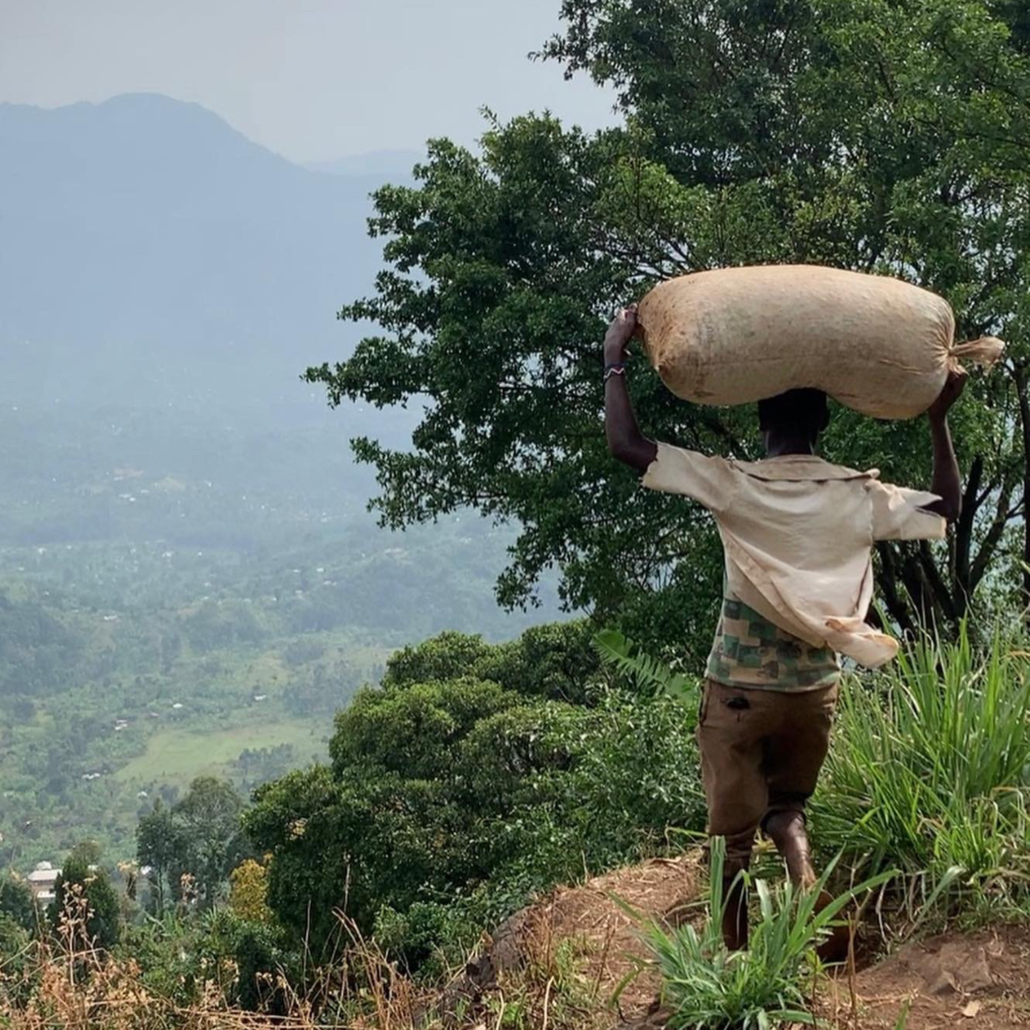 Zebigi - Penelope Coffee - Uganda