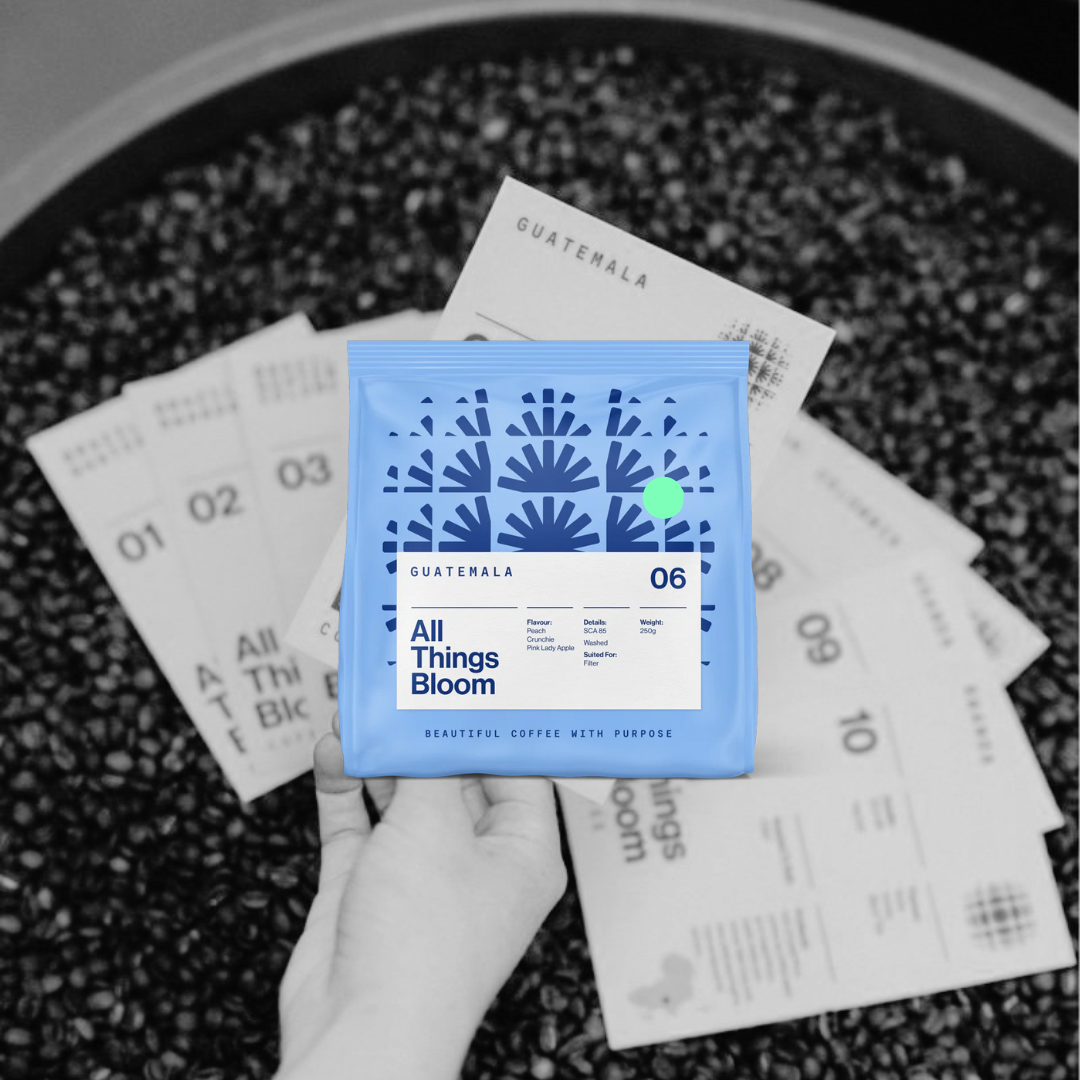 06 Filter - All Things Bloom - Guatemala