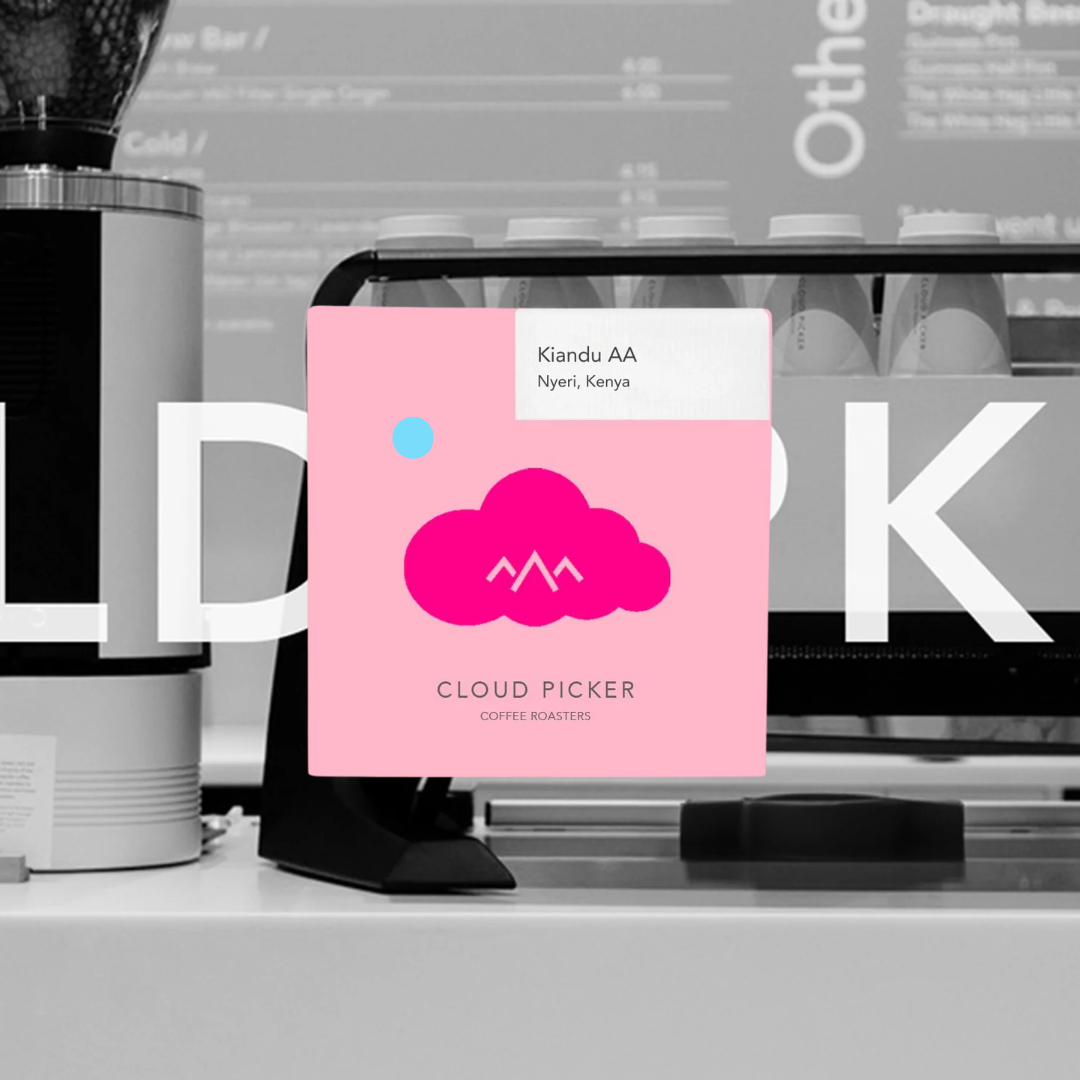 Kiandu AA - Cloud Picker - Kenya