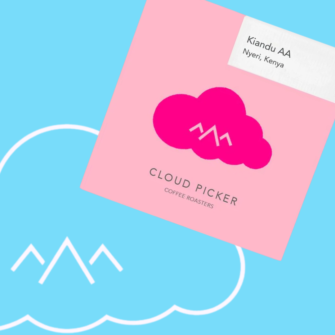 Kiandu AA - Cloud Picker - Kenya