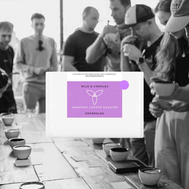Esmeralda - Harmony Coffee Roasters - Colombia