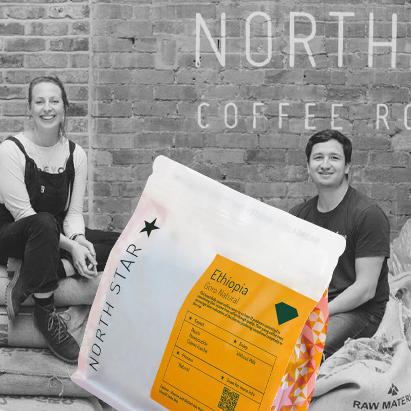 Goro Lot 2 - North Star Coffee Roasters - Ethiopia