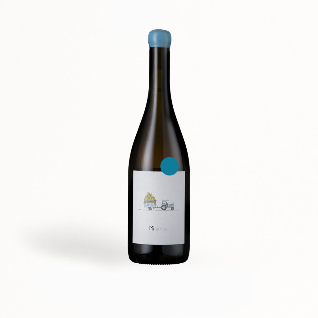 Minimus Assyrtiko orange wine - Greek natural wine - Chatzivaritis Estate