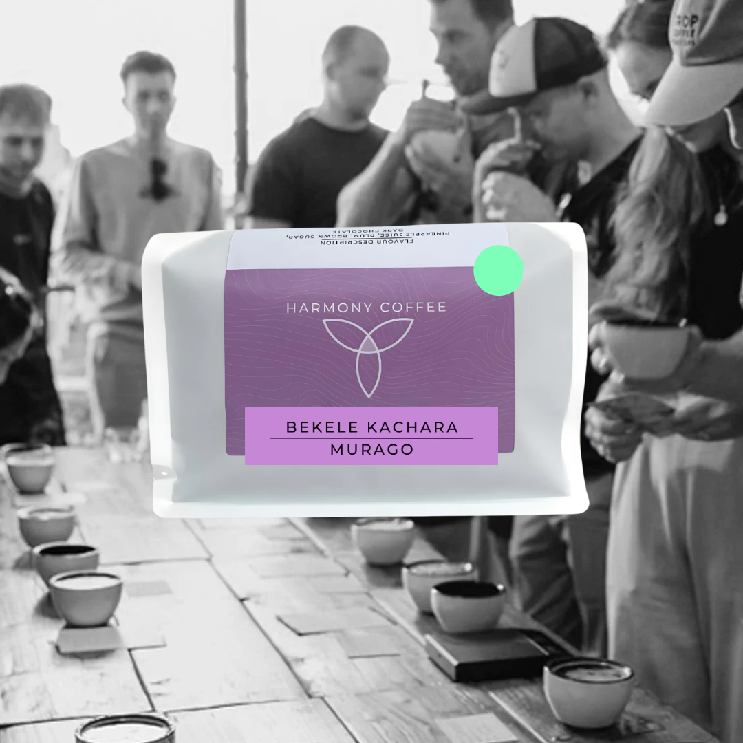 Bekele Kachara - Harmony Coffee Roasters - Ethiopia