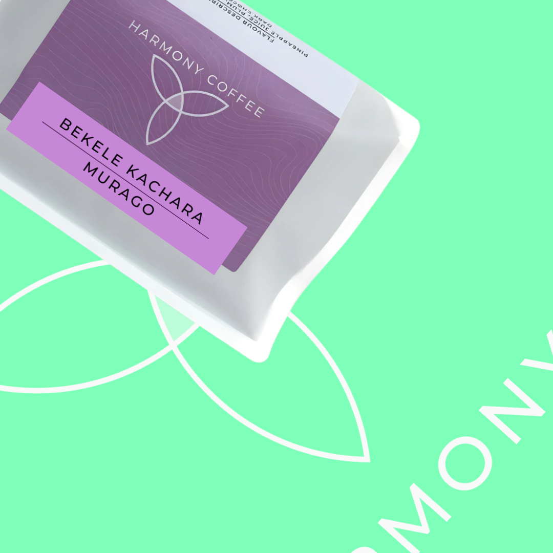 Bekele Kachara - Harmony Coffee Roasters - Ethiopia