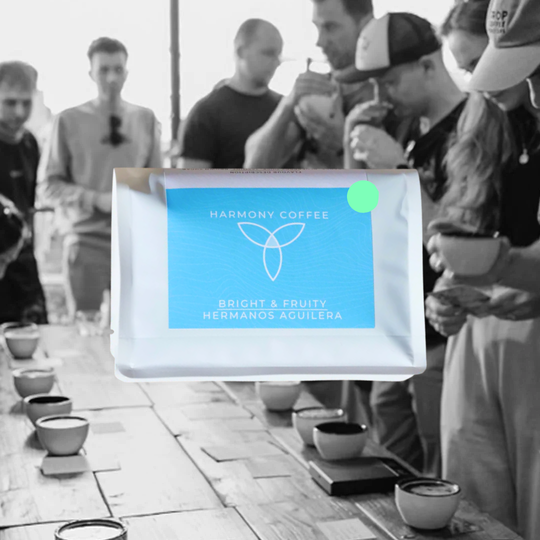 Hermanos Aguilera - Harmony Coffee Roasters - Costa Rica