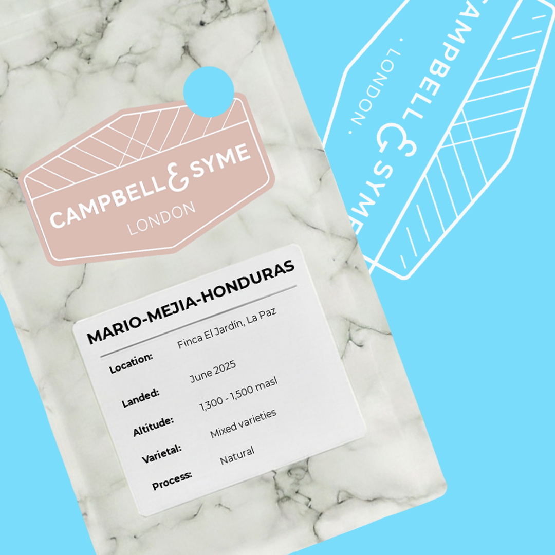 Mario Mejía - Campbell and Syme - Honduras