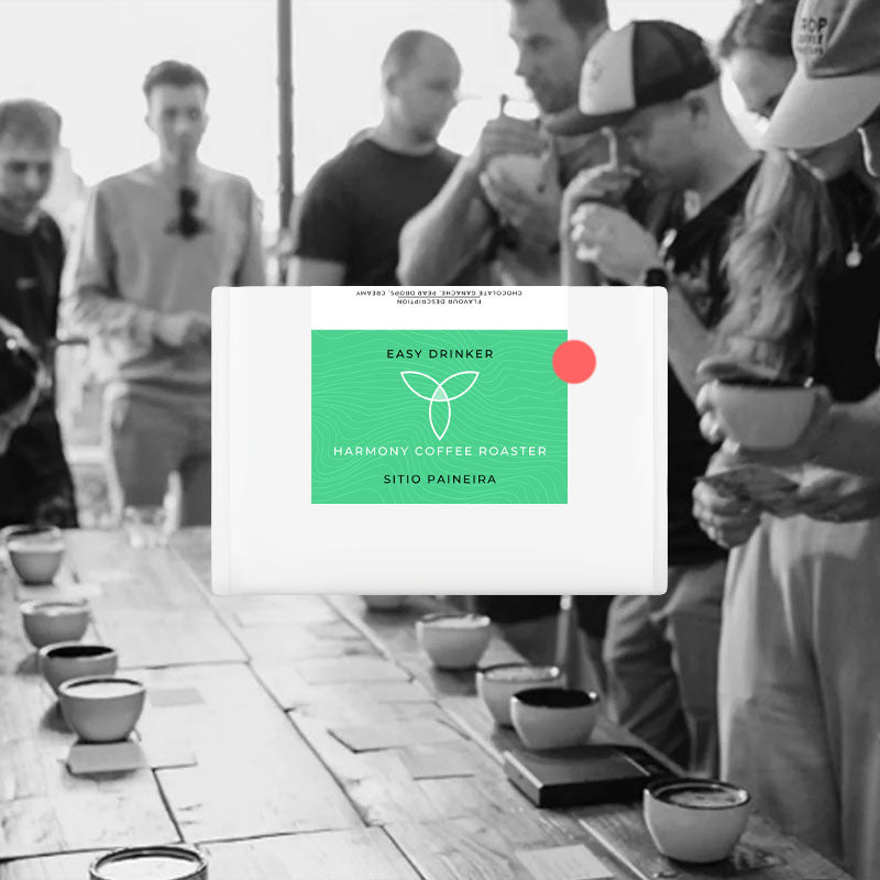 Sitio Paineira - Harmony Coffee Roasters - Brazil