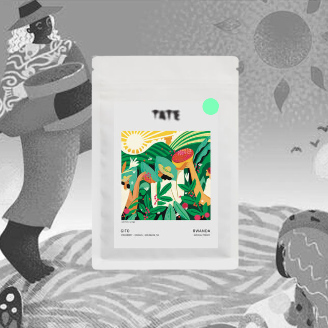 Herminio Lopez Mazariegos - Coffee by Tate - Guatemala